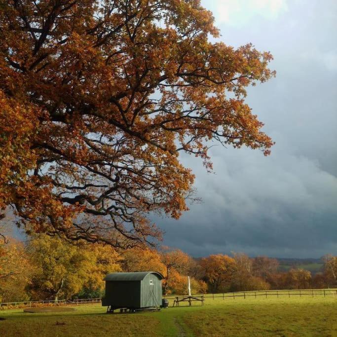 Skylark Shepherds Hut Роял-Танбридж-Веллс Екстер'єр фото